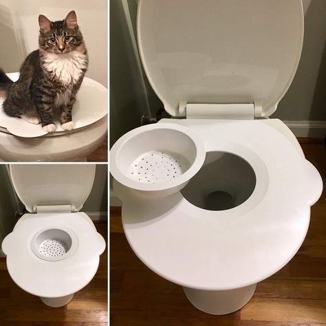 Cat Liter, Manifesting 2024, Cat Toilet Training, Liter Box, Cat Pee, Cat Toilet, Homemade Cat, Pet Ideas, Training Kit