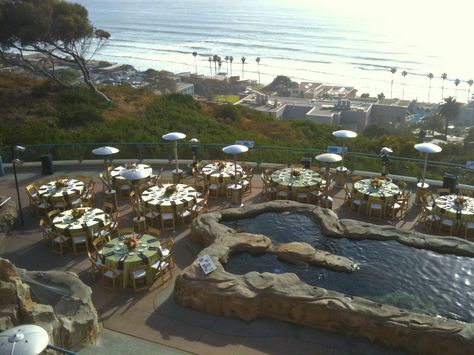 https://flic.kr/p/crJCo5 | Birch Aquarium at Scripps | Birch Aquarium at Scripps provides fantastic outdoor options for events of varying size and purpose. Birch Aquarium, Aquarium Wedding, San Diego Wedding Venues, Oceanography, Outdoor Reception, San Diego Wedding, Social Events, Wedding Events, Special Events