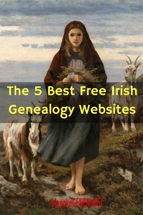 Genealogy Ireland, Family History Organization, Family History Projects, Irish Genealogy, Genealogy Organization, Genealogy Search, Irish Ancestry, Genealogy Websites, Ancestry Family Tree