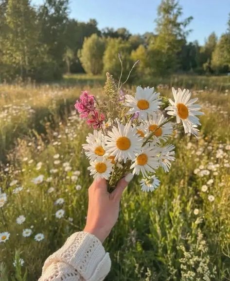 August Vibes Aesthetic, Flower Picking Aesthetic, Pretty Flowers Pictures, Giving Flowers, Boquette Flowers, A Bouquet Of Flowers, Nothing But Flowers, Flower Therapy, Spring Aesthetic