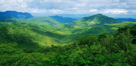 Beautiful landscape of mountain. Green forest or deep jungle with mountain heel and cloud sky. Beauty of nature and Natural wallpaper concept Green Mountain Wallpaper, Green Nature Wallpaper, Photos Landscape, Nature Jungle, Deep Jungle, Natural Wallpaper, Mountain Images, Forest Mountain, Mountain Wallpaper