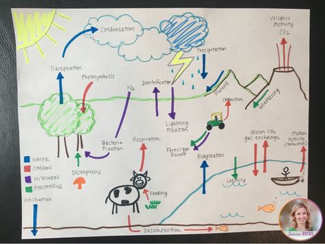 BLOG POST: 7 resources for teaching the biogeochemical cycles Biogeochemical Cycles Poster, Biogeochemical Cycles Project, Biogeochemical Cycles, The Water Cycle, Carbon Cycle, Earth Space, Secondary Science, Stem Crafts, Earth And Space Science