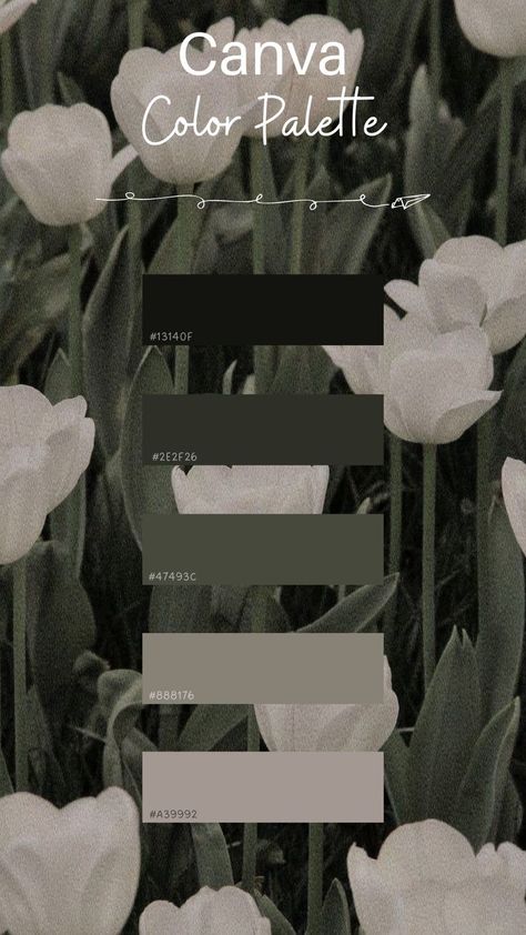 Cottage Gothic Aesthetic, Canva Palettes Color, Canva Colour Palettes, Canva Color Codes, Black And White Colour Palette, Instagram Color Scheme, Canva Color Palette Codes, Color Pallete Aesthetic, Color Palette Canva