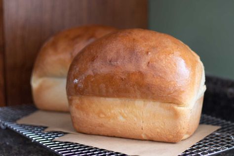 Homemade butter bread is a simple recipe for a buttery, soft, white sandwich bread. Made with basic ingredients it is easy to make. Buttermilk Yeast Bread, Butter Bread Recipe Homemade, Homemade Sandwich Bread Recipes, Buttermilk Bread Recipes, Grandma's Biscuits, Amish White Bread Recipe, Easy Sandwich Bread, Best Sourdough Starter Recipe, Amish Bread Recipes