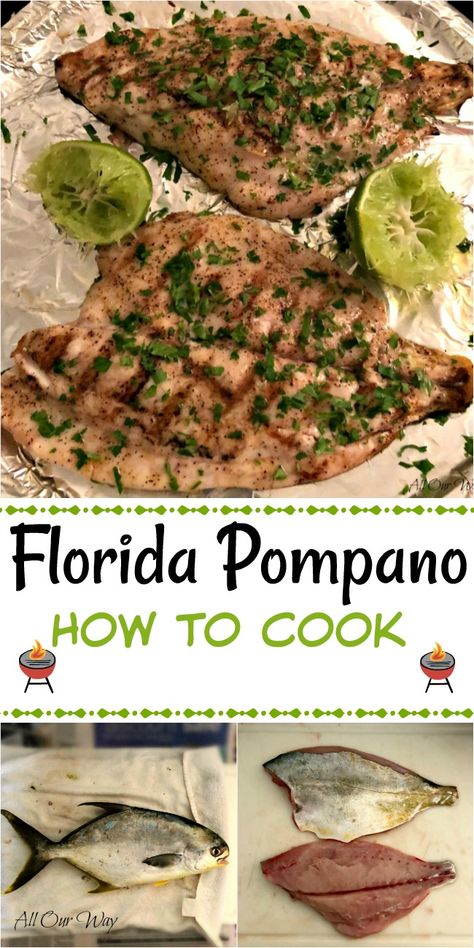 Florida Pompano or Golden Pompano is best grilled with just a touch of citrus and olive oil. The meat is mild and sweet. #Florida_pompano, #Golden_pompano, #how_to_cook, #pompano, #grilled_pompano Pompano Fish Recipe, Pompano Recipe, Pompano Fish, Cooking Quotes, Food Fish, How To Cook Fish, White Meat, Sea Food, Fish Dishes