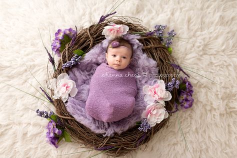 Eugene and Springfield, Oregon Newborn Photography floral wreath nest Purple Flowers Background, Whimsical Background, Newborn Background, Springfield Oregon, Photographing People, Background Purple, Newborn Backdrop, Baby Poses, Newborn Baby Photos