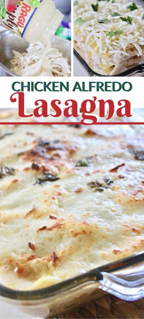 Easy Alfredo Lasagna Recipe, Healthy Chicken Alfredo Lasagna, Alfredo Lasagna Recipe Chicken, Easy Chicken Alfredo Lasagna Recipe, Chicken Alfredo Lasagne Recipes, Lasagna Recipe With Alfredo Sauce, Alfredo Sauce Lasagna Recipe, Lasagna Recipe Easy No Cook Noodles, Chicken Lasagna Recipe Easy