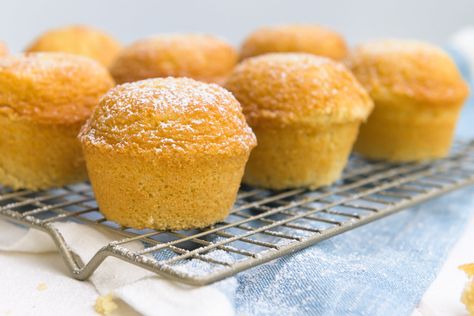 Recipe | Gluten-Free, Dairy-Free Bolo de Arroz (Portuguese Rice Muffins) — STudioist Rice Flour Muffins, Rice Muffins, Egg Custard Tarts, Portuguese Rice, Vegan Butter Substitute, Custard Tarts, Scratch Cooking, Dairy Allergy, Egg Custard