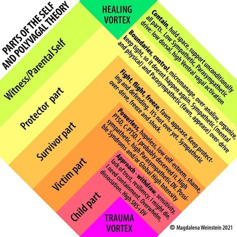 Polyvagal Chart By Magdelena Weinstein – TRE® Scotland Nervous System Activities, Polyvagal Theory, Somatic Experiencing, Internal Family Systems, Mental Health Activities, Therapy Counseling, Counseling Resources, Mental Health Resources, Therapy Worksheets