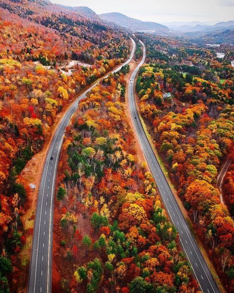 New Hampshire Forest Images, Leaves Changing Color, Leaves Falling, Living Photo, Beautiful Landscape Photography, Nature Architecture, Fall Beauty, Scenic Photos, Winding Road