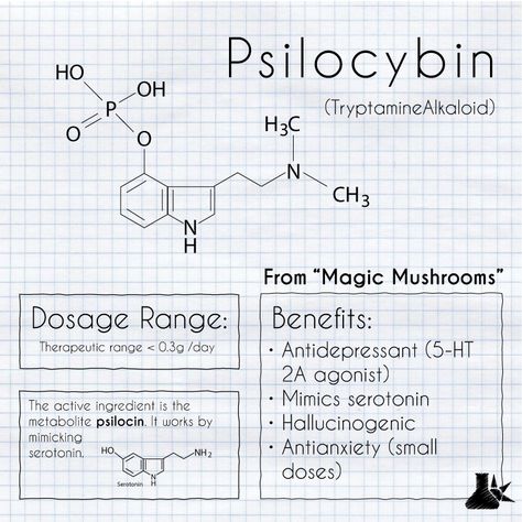 Mushroom Molecule Tattoo, Psilocybin Benefits, Psilocybin Tattoo, Shroom Trip Activities, Psylocibin Mushroom, Microdosing Mushrooms, Mushroom Psylocibin, Psylocibin Mushrooms Art, Psilocybin Mushrooms