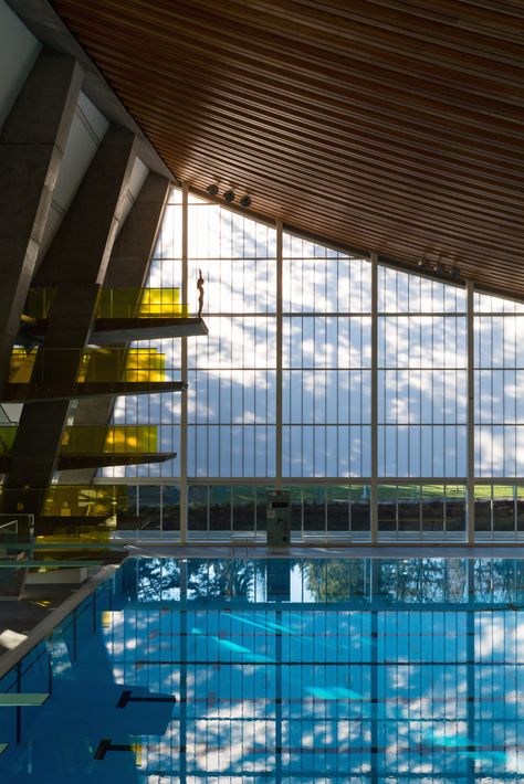 Surrey Canada, Olympic Pool, Vancouver House, Sport Center, Sports Centre, Swimming Pool Architecture, Own Character, World Architecture, Sport Hall