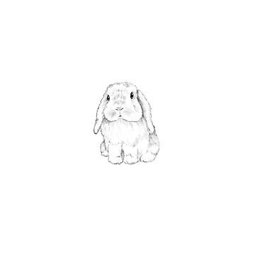 Bunny And Dog Tattoo, Holland Lop Bunny Drawing, Soft Bunny Tattoo, Floppy Eared Bunny Tattoo, Holland Lop Bunny Tattoo, Lop Eared Bunny Tattoo, Lop Rabbit Tattoo, Holland Lop Drawing, Lop Bunny Drawing