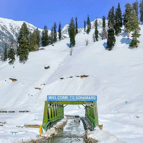 Sonmarg Kashmir Photography, Kashmir Itinerary, Sonmarg Kashmir, Kashmir Photography, Kashmir Aesthetic, Lucifer Quote, Kashmir Trip, Kashmir Valley, Cagatay Ulusoy