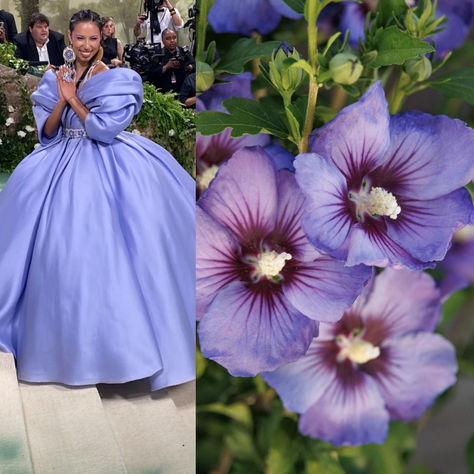 The 2024 Met Gala theme "Garden of Time" inspired our own dress code for the spring garden. Swipe through to see our recap of gorgeous plant/gown pairings. ➡️ Theme Garden, Monrovia Plants, Gala Themes, Garden Inspo, Plant Catalogs, Class Reunion, Catalog Online, Garden Theme, Spring Garden