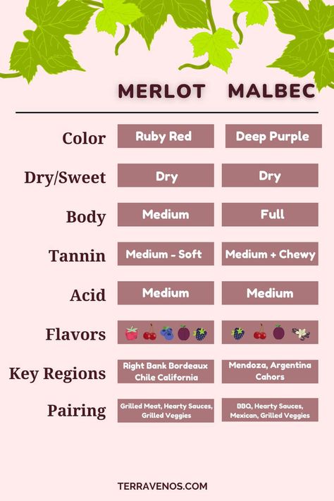 Wine Reference, Wine Aromas, Tempranillo Wine, Wine Chart, Man Recipes, Malbec Wine, Wine Facts, Chianti Wine, Wine 101