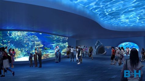 Zoo Tickets, Dubai Aquarium, Public Aquarium, Tropical Aquarium, Shark Swimming, Aquarium Design, Rocky Shore, Marine Conservation, Underwater Creatures