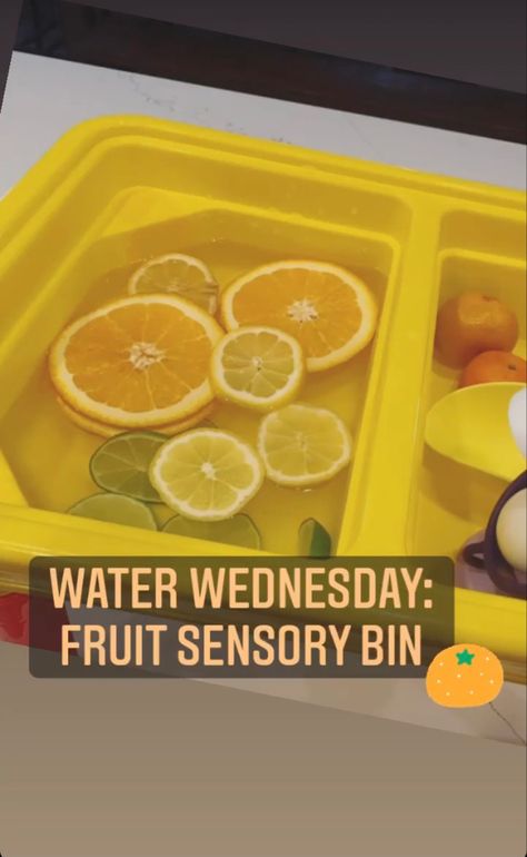 Citrus Sensory Bin, Fruit Sensory Bin, Fruit Activities, Summer Sensory, Sensory Bin, Orange Fruit, Sensory Bins, Life Design, Dried Fruit