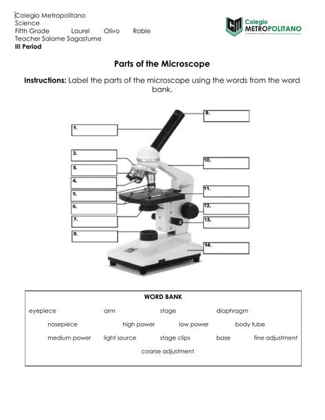 Microscope Worksheet Free Printable, Microscope Worksheet, Parts Of A Microscope Worksheet, Microscope Activity, Labeled Microscope, Microscope Parts And Functions, Parts Of A Microscope, Compound Microscope Parts, Microscope Parts