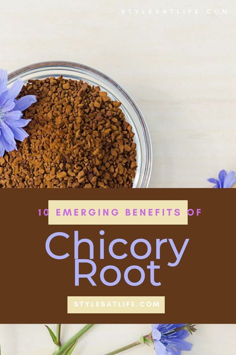 Health Benefits of Chicory Benefits Of Chicory Root, Chicory Benefits, Chicory Root Benefits, Chicory Root, Tea Benefits, Recipe Board, Recipe Boards, Holistic Medicine, Hot Tea