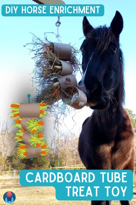 A black horse approaches a toy made from cardboard tubes connected by string. The equine enrichment item is filled with hay and chunks of carrots and apples. Inset graphic of tube toy with forage and carrots in middle left. White text overlaid on graphic reads: DIY Horse enrichment. Cardboard tube treat toy. Enriching Equines logo in lower left. Horse Enrichment Ideas Diy, Enrichment For Horses, Horse Enrichment Ideas, Equine Enrichment, Horse Enrichment, Diy Horse Toys, Toys For Horses, Farm Life Quotes, Zoo Enrichment