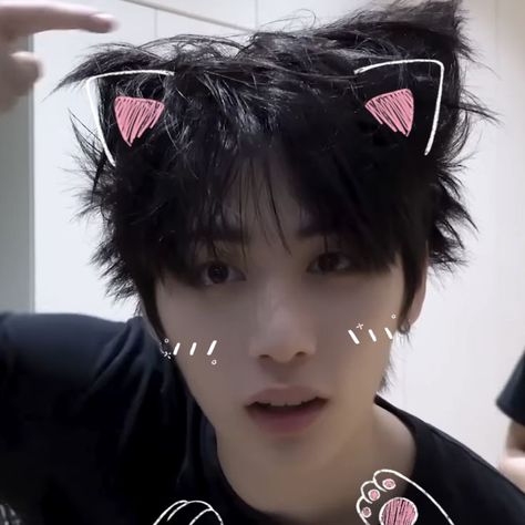 taesan bnd bonedo boynextdoor icon cat Taesan Icons Boy Next Door, Boynextdoor Taesan Icon, Boy Next Door Taesan, Bnd Wallpaper, Han Dongmin, Icon Cat, Taesan Icon, Boynextdoor Icon, Emo Boyfriend