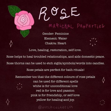 Rose Witchcraft, Rose Petal Uses, Goodies Ideas, Plant Witch, Sisters Of The Moon, The White Witch, Magickal Herbs, Rose Thorns, Troubled Relationship