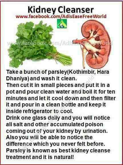 kidney cleanse - pour boiling water over parsley, let it cool, filter this water and chill. Kidney Detox, Kidney Cleanse, Kidney Health, Healthy Detox, Natural Health Remedies, Healing Herbs, Health Info, Natural Medicine, Detox Drinks