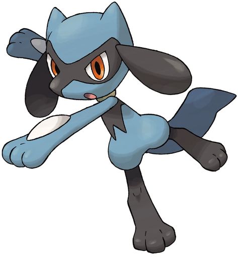 Riolu Pokémon Diamond And Pearl, Baby Pokemon, Lucario Pokemon, Pokémon Diamond, Pokemon Regions, Pokémon Black And White, Ash Pokemon, Pokemon Pokedex, Black Pokemon