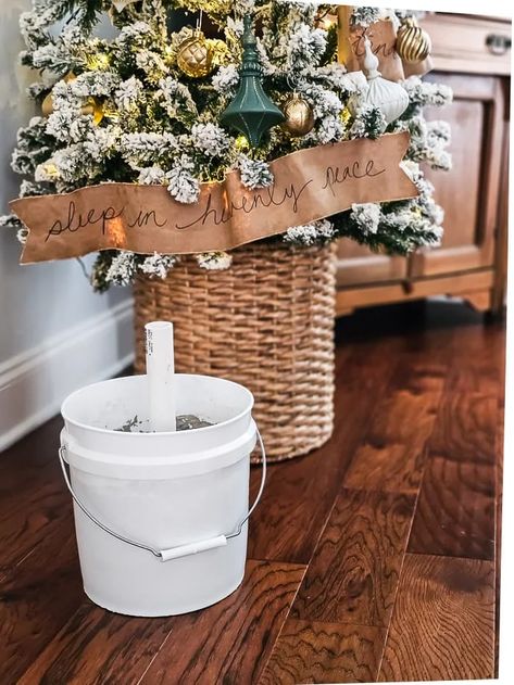 PVC pipe, bucket and concrete, basket as Christmas tree stand Christmas Tree With Box Stand, Christmas Tree Bucket Stand, How To Put A Christmas Tree In A Pot, Christmas Tree Pot Ideas, Christmas Tree Containers Ideas, Christmas Tree Urn Stand, Christmas Tree Basket Base, Christmas Tree In Planter, Christmas Tree In A Basket