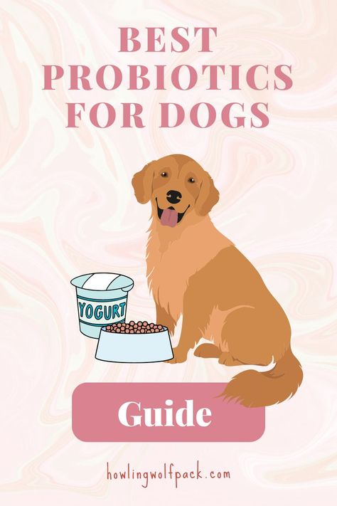 Natural Supplements For Dogs, Probiotic Food For Dogs, Diy Dog Probiotic, Probiotic For Dogs Diy, Dog Probiotics Natural, Gut Health For Dogs, Diy Probiotics For Dogs, Dog Gut Health Recipes, Homemade Probiotics For Dogs