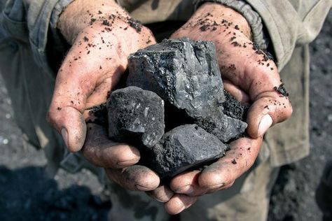 A miner holding coal nuggets in his cupped hands. Old Gods Of Appalachia, Mens Wedding Rings Unique, Norton Campbell, Old Gods, District 12, Coal Miners, Energy Crisis, Dividend Stocks, Titanium Wedding Rings