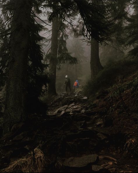 Creepy Mountain Aesthetic, Dark Academia Adventure Aesthetic, Dark Academia Mountains, Action Adventure Aesthetic, Adventure Book Aesthetic, Wilderness Aesthetic Dark, Hiking Dark Aesthetic, Exploring Forest Aesthetic, Adventure Story Aesthetic