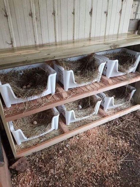 Kitchen Design Vintage, Kitchen Design Boho, Vintage Kitchen Design, Cute Chicken Coops, Easy Chicken Coop, Chicken Coop Garden, Chicken Shed, Chicken Barn, Boho Living Room Ideas