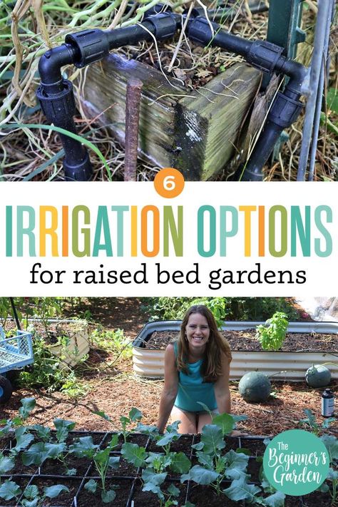 These 6 irrigation methods for watering raised beds will provide you with options on making sure your vegetable garden is as productive as it can be! Watering Raised Beds, Irrigation For Raised Beds, Raised Bed Irrigation, Raised Garden Beds Irrigation, Watering Raised Garden Beds, Backyard Raised Garden, Raised Bed Gardens, Drip Irrigation Diy, Irrigation Methods