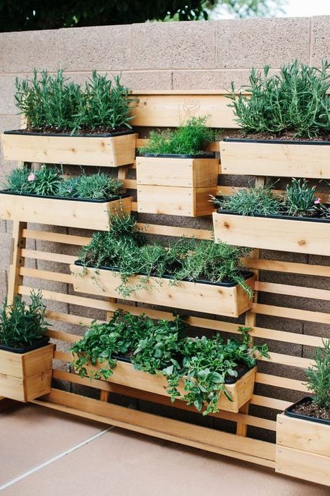 Vertical Garden Wall Planter, Garden Wall Planter, Diy Garden Landscaping, Pallet Gardening, Decking Ideas, Funny Vine, Garden Wall Designs, Vertical Garden Design, Vertical Vegetable Garden