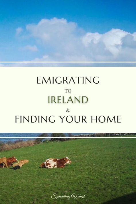 Move To Ireland, Moving To Ireland From America, Ireland With Kids, Dual Citizenship, Moving To Ireland, Novel Inspiration, Irish Travellers, Travel Ireland, Moving Abroad