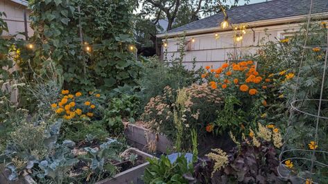 Why You Should Embrace a Chaotic Garden Summer Backyard, Backyard Entertaining, Home Garden Plants, Tree Swing, Stop Trying, Growing Tomatoes, Perfect Garden, Companion Planting, Autumn Garden