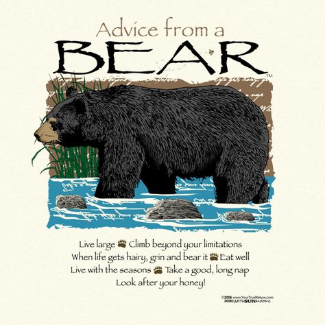 Advice From A Bear Grin And Bear It, Bear Spirit Animal, Earth Sun And Moon, Wood Badge, Bear Quote, Animal Spirit Guides, Animal Symbolism, Life Quotes Love, Sassy Quotes