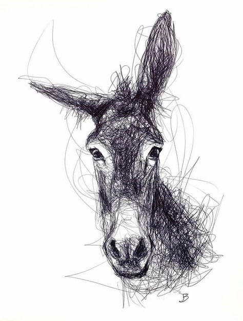 Animals Ink Drawing, Fine Line Animal Drawing, Peeking Animals Drawing, Animal Scribble Art, Animal Pen Sketch, Scheches Art, Donkey Art Illustration, Scribble Art Easy, Drawing Donkey