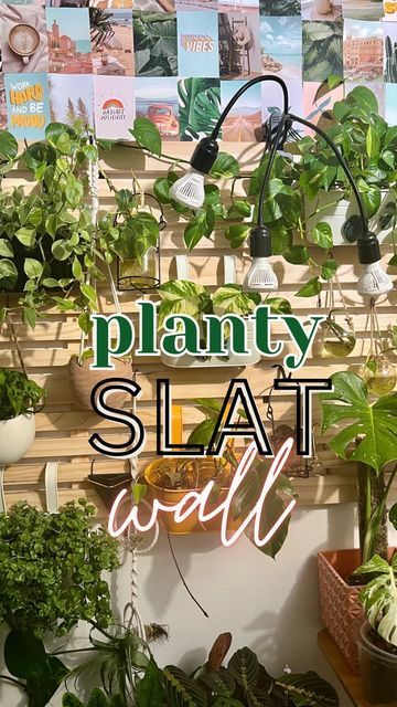 Living Plant Wall, Living Wall Indoor, Room Cleaning, Plant Room, Privacy Walls, Grow Plants, Big Plants, Cleaning Day, I Can Change