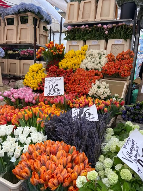 Columbia Road Flower Market London, Colombia Road Flower Market, Columbia Flower Market London, Columbia Flower Market, London Moodboard, Living In London Aesthetic, Flower Market Aesthetic, London Flower Market, Flower Market London