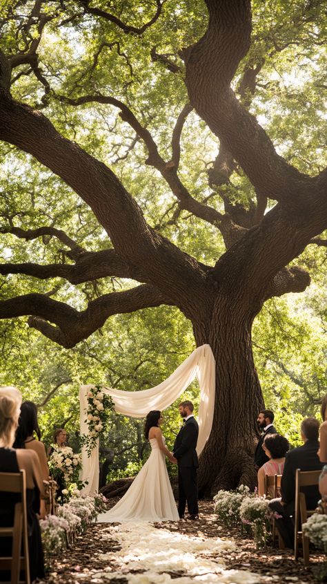 ✨ Experience the magic of an Enchanting Outdoor Oak Tree Wedding Ceremony in London! This dreamy setting, with flowing fabrics and lush greenery, creates an unforgettable backdrop. Ready to capture your love story? 📽️ #Midjourney #WeddingVideography #LondonWeddings #OutdoorCeremony Boojum Tree Wedding, Ceremony Backdrop Tree, Oak Tree Wedding Ceremony, Tree Wedding Ceremony, Willow Tree Wedding, Oak Tree Wedding, Barcelona Wedding, Wedding Spain, Under A Tree