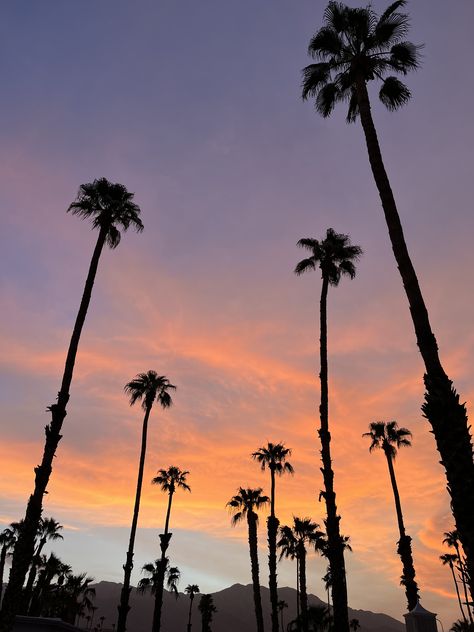 Fall In Los Angeles, Altadena California, Los Angeles Sunset, Lock Screen, Bay Area, Favorite Places, Angeles, Angel, California