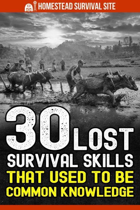 These lost survival skills used to be common knowledge. Every homesteader should practice these skills because we might need them again. Homestead Survival Life Hacks, Apocalypse Skills, Survival Apocalypse, Survival Prepping Diy, Best Survival Food, Survival Skills Emergency Preparedness, Outdoor Skills, Off Grid Survival, Bushcraft Shelter