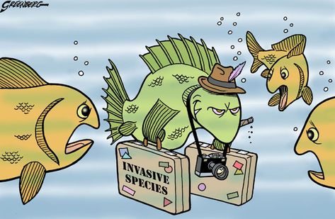 This Cartoon Demonstrates How Invasive Species Move In To An Environment and Ruin It Invasive Species Poster, Review Aesthetic, Plants Identification, Interactive Poster, Girl Scouts Cadettes, English Speech, Daily Cartoon, School Cartoon, 5th Grade Classroom