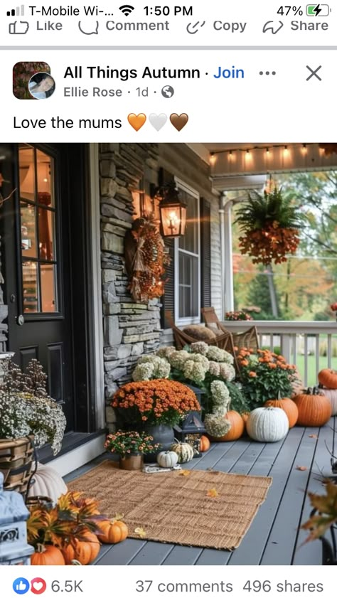 Fall Front Porch Decor Ideas, Autumn Love, Casa Halloween, Neutral Fall Decor, Fall Front Porch Decor, Casa Vintage, Fall Thanksgiving Decor, Autumn Decorating, Fall Front Porch