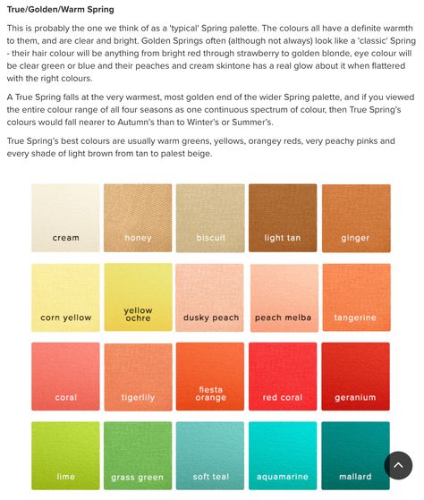 True Spring Neutrals, Warm Spring Neutrals, Warm Tone Outfits, Makeup For 50 Year Old, True Spring Color Palette, Spring Neutrals, True Spring Colors, Color Seasons, Spring Tones