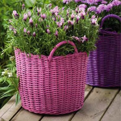 Baskets With Flowers, Painted Baskets, Painted Wicker, 강아지 그림, Wicker Decor, Garden Containers, Container Garden, Container Plants, Garden Planters