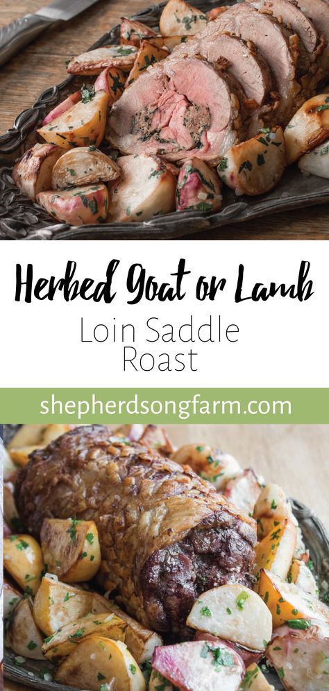 With their smaller size relative to beef and pork, lamb and goat share the special trait of being some of the only animals that have a whole loin saddle that can be cooked for a small group of people at home. One saddle of lamb will feed 8-10, and a goat about 4-6, while a saddle of beef would feed about 50 – 60 and require large cooking setups to prepare. Goat Loin Recipes, Goat Recipes Meat, Goat Dishes, Goat Leg, Lamb Sausage, Wheat Salad, Salad Vegetables, Glo Girl, Goat Recipes